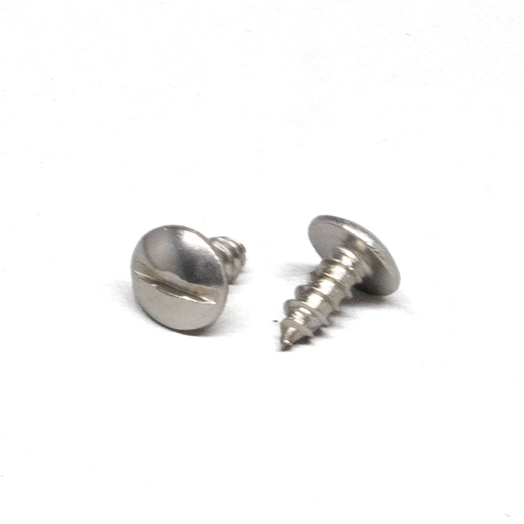 84-88 License Plate Screws (2)